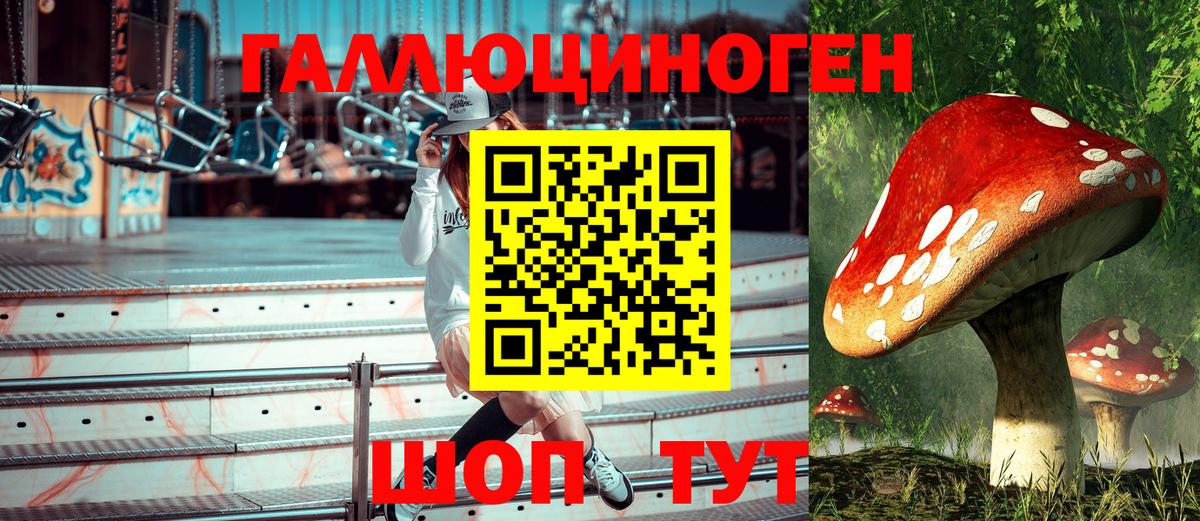 Солнечногорск  Псилоцибиновые грибы GOLDEN TEACHER  Вход с VPN 