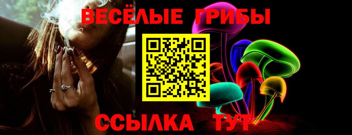 Галлюциногенные грибы Psilocybine cubensis Солнечногорск